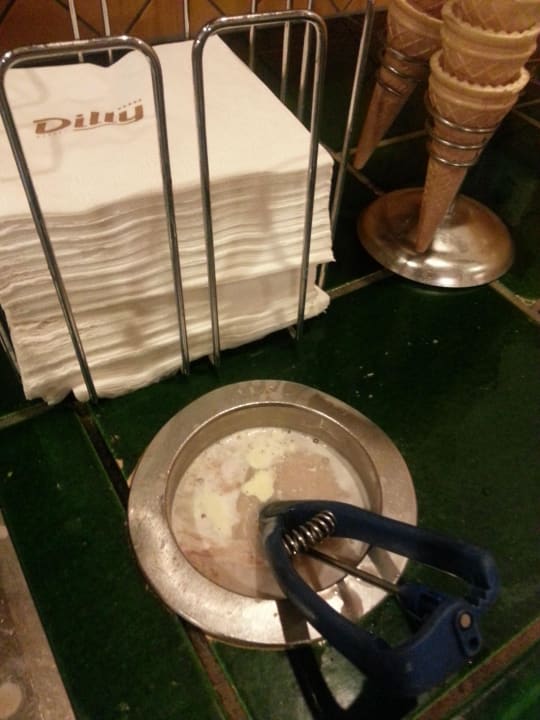 Ekeliger Eisportionierer Dilly - Das Nationalpark Resort