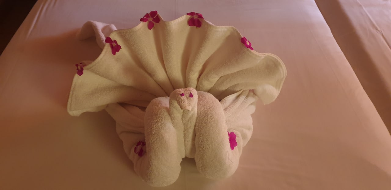 Zimmer Jaz Makadi Oasis Resort