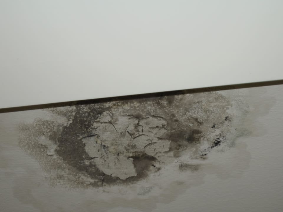 Schimmel im Kleiderschrank 4277 Limak Limra Hotel & Resort