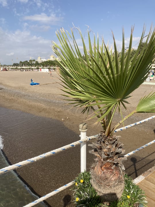 Strand Hotel Delphin Imperial