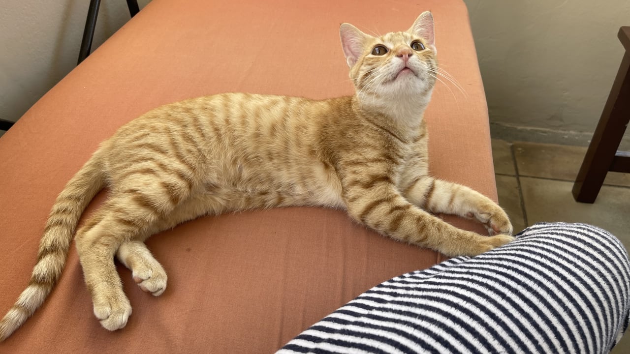 Zimmer Hotel Villas Caroline