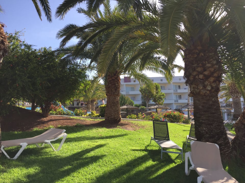 Gartenanlage allsun App.-Hotel Esquinzo Beach