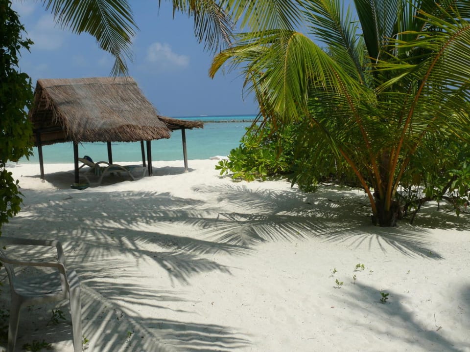 Ostseite Summer Island Maldives