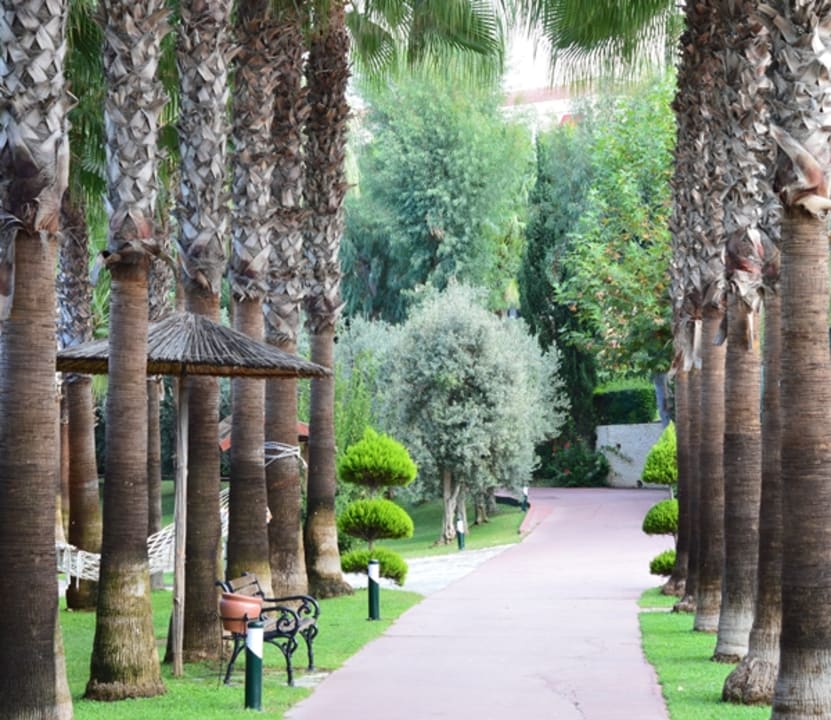 Gartenanlage Hotel Miramare Beach