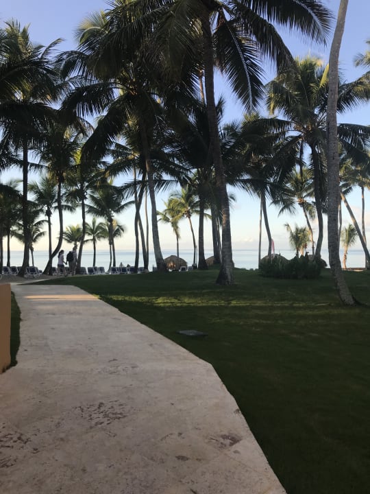 Ausblick Hotel Viva Dominicus Palace by Wyndham-All Inclusive Resort