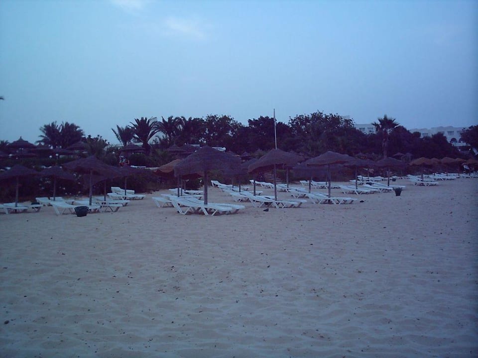 Strand TUI BLUE Palm Beach Hammamet