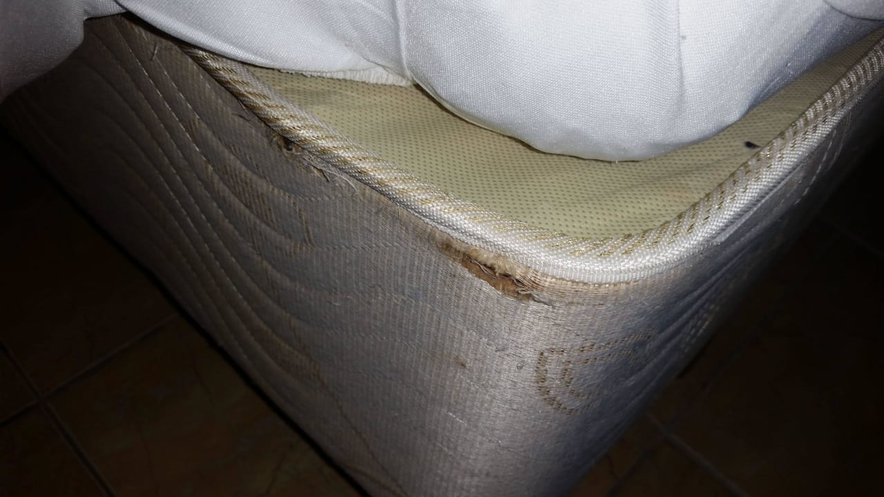 Zimmer 615 Senator Puerto Plata Hotel