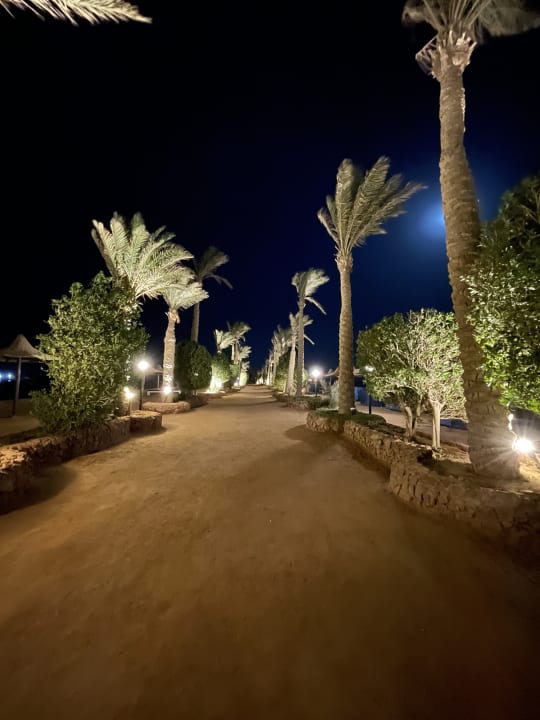 Sonstiges Arabia Azur Resort
