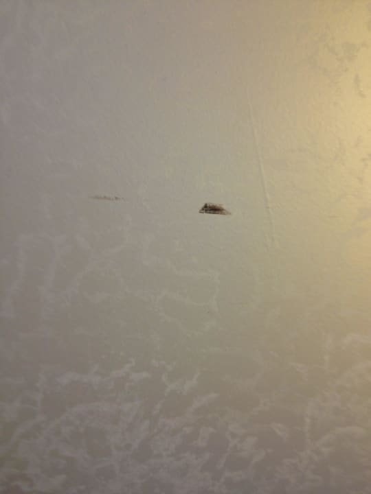 Flecken an der Wand Limak Lara Deluxe Hotel & Resort