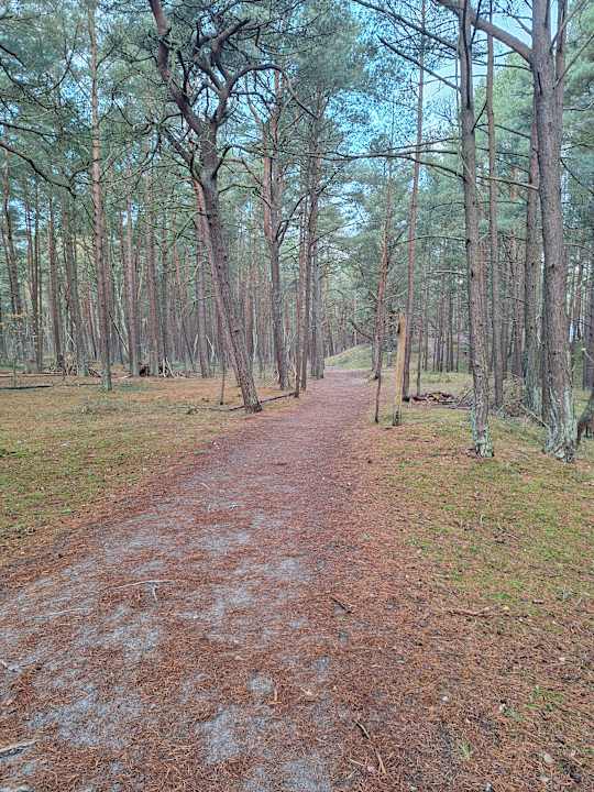 Außenansicht Hotel Senator