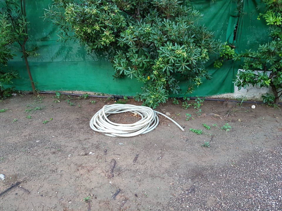 Gartenpflege  The Grove Seaside Hotel