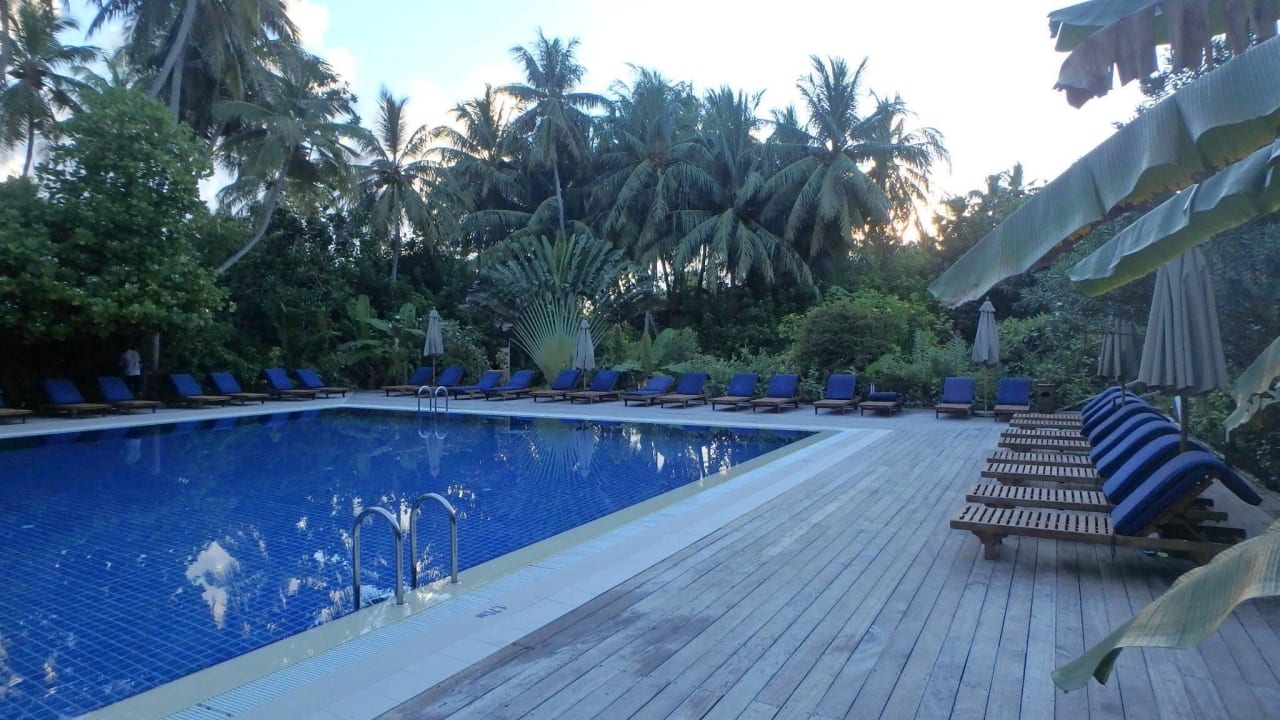 Großer Pool am Morgen Vilamendhoo Island Resort & Spa