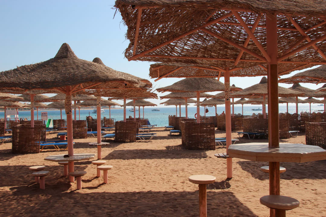 Kostenfreie Nutzung der Liegen inkl. Bedienung Jaz Makadi Oasis Resort