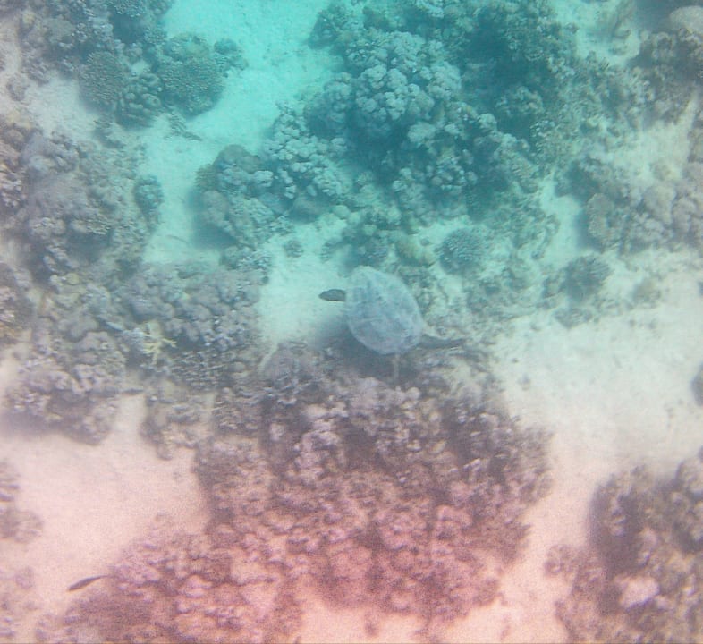 Strand Casa Mare Resort