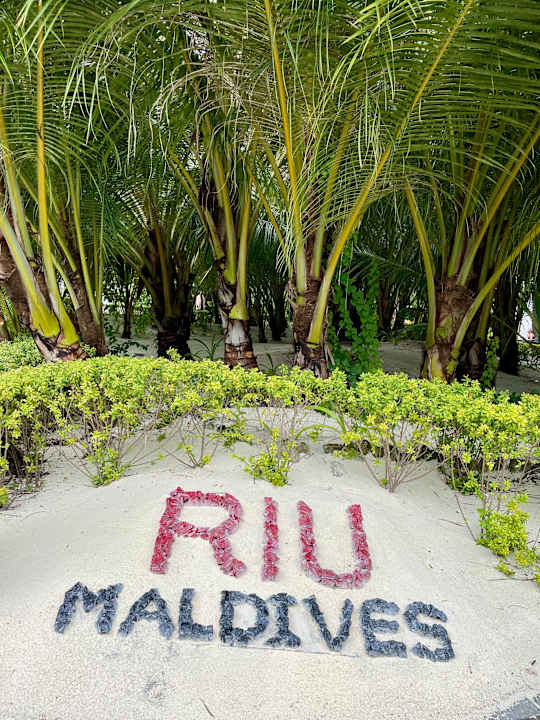 Gartenanlage Hotel Riu Atoll