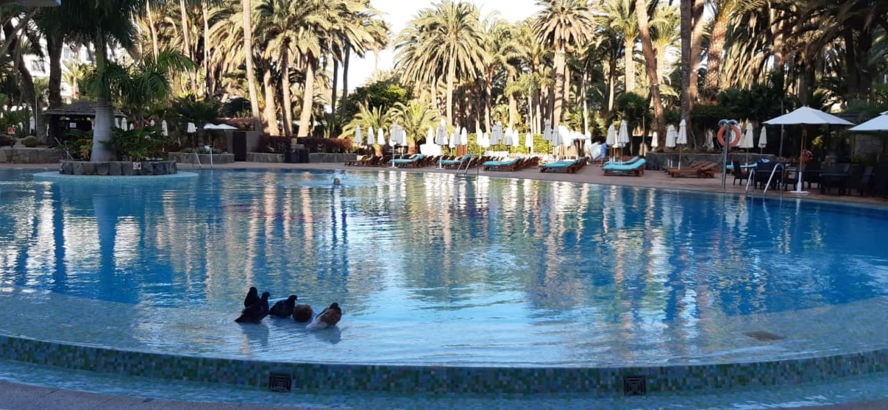 Pool Seaside Hotel Palm Beach