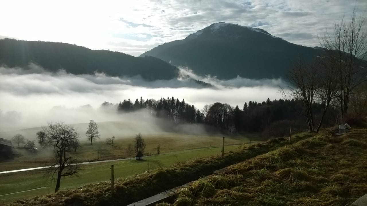 Ausblick Wohlfühlresort Peternhof