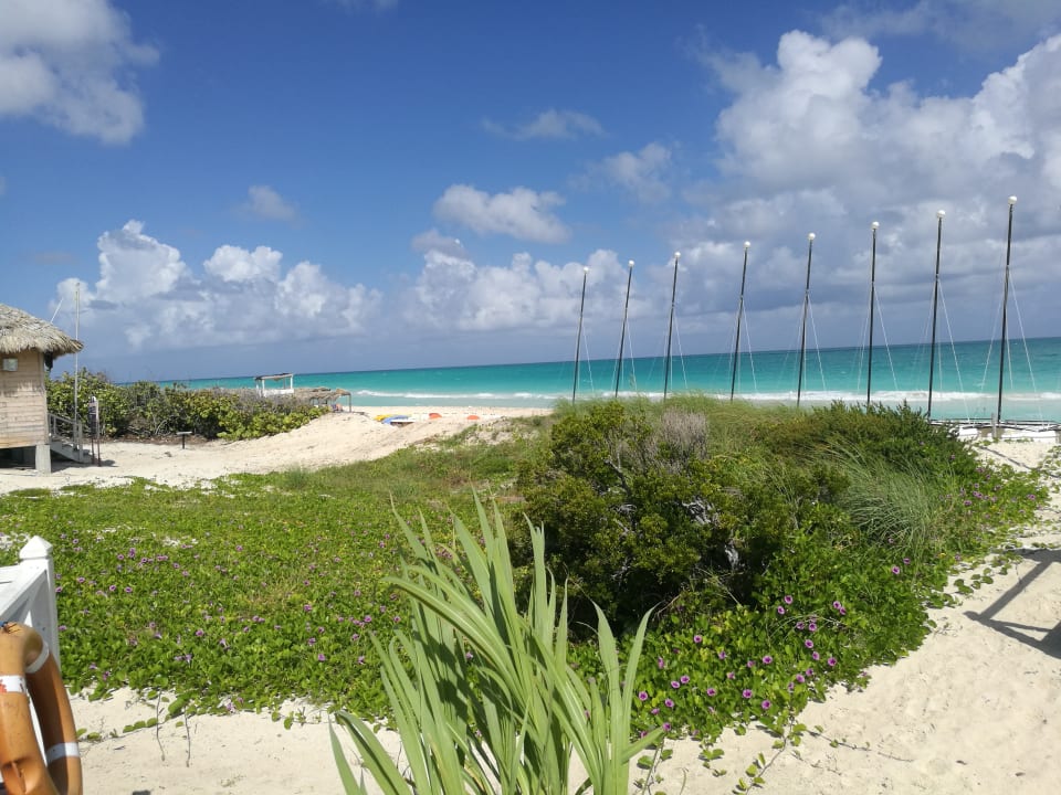 Strand Melia Las Dunas