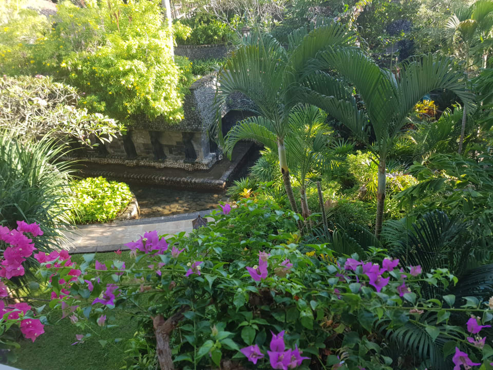 Ausblick The Laguna A Luxury Collection Resort & Spa