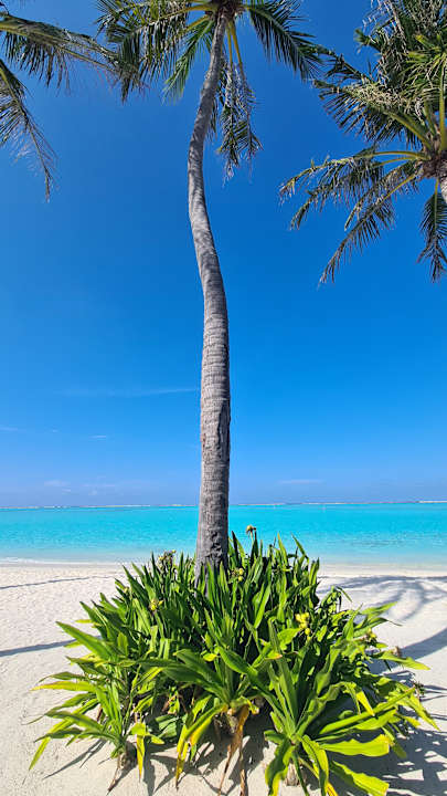 Strand Hotel Riu Atoll