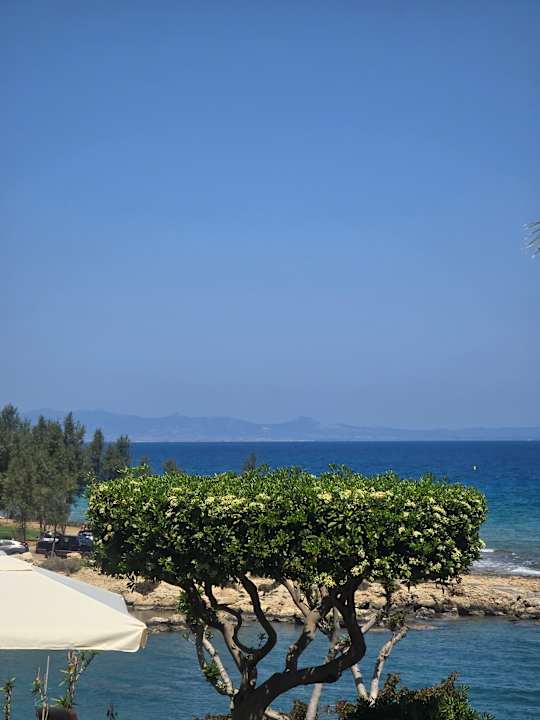 Außenansicht Crystal Springs Beach Hotel