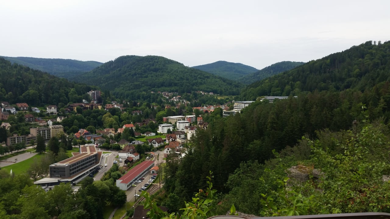 Ausblick Hotel Schwarzwald Panorama