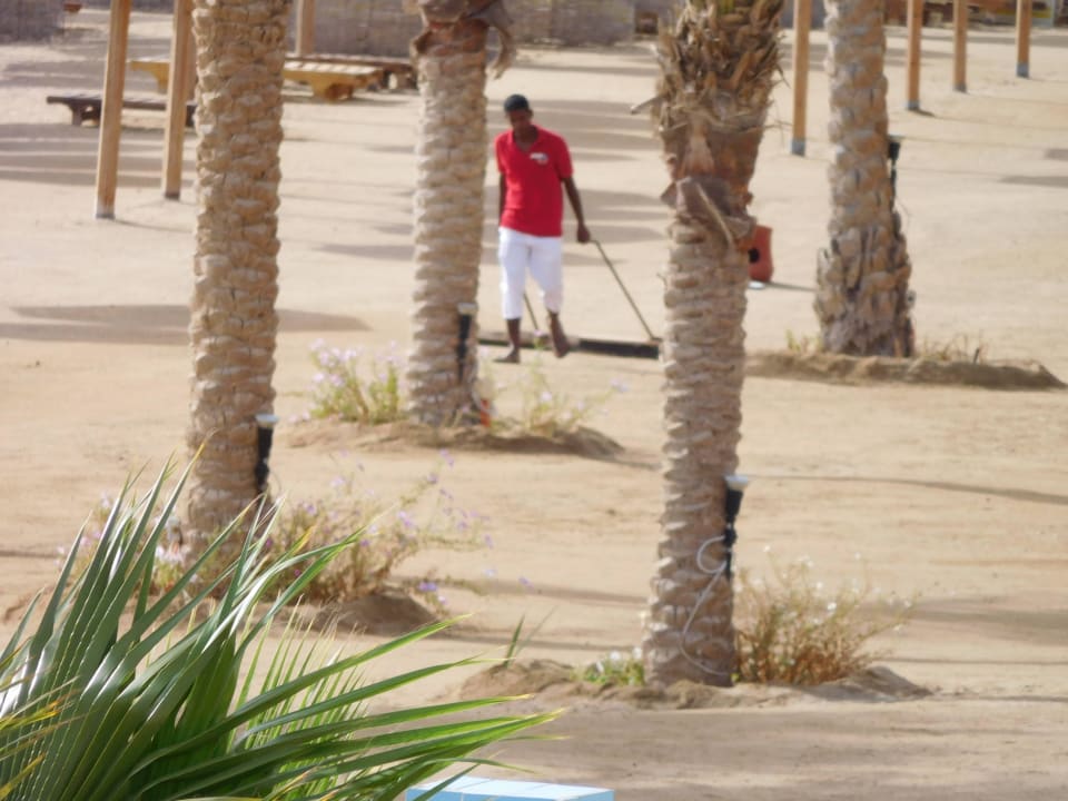 Fleißig am Strand Casa Mare Resort