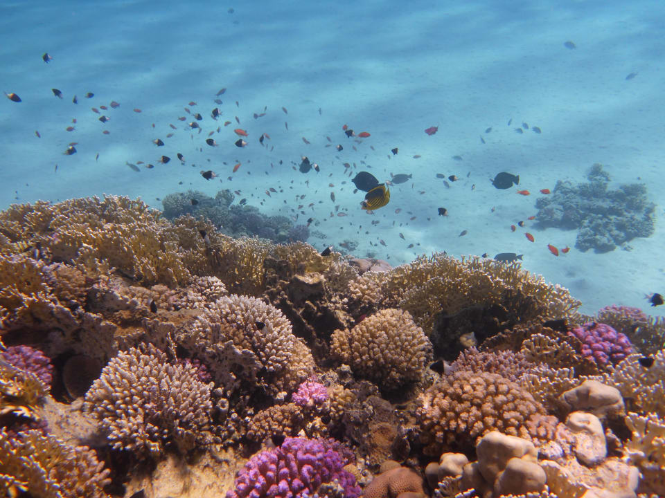 Sport & Freizeit Malikia Resort Abu Dabbab