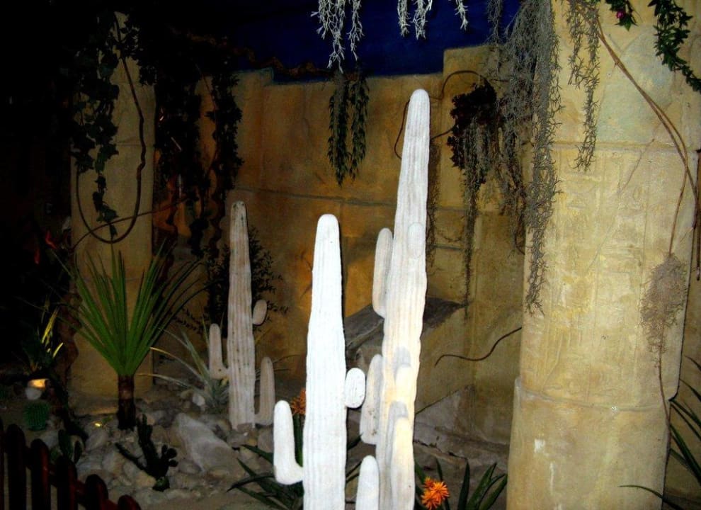 Keller-Ansichten Wunderland Kalkar