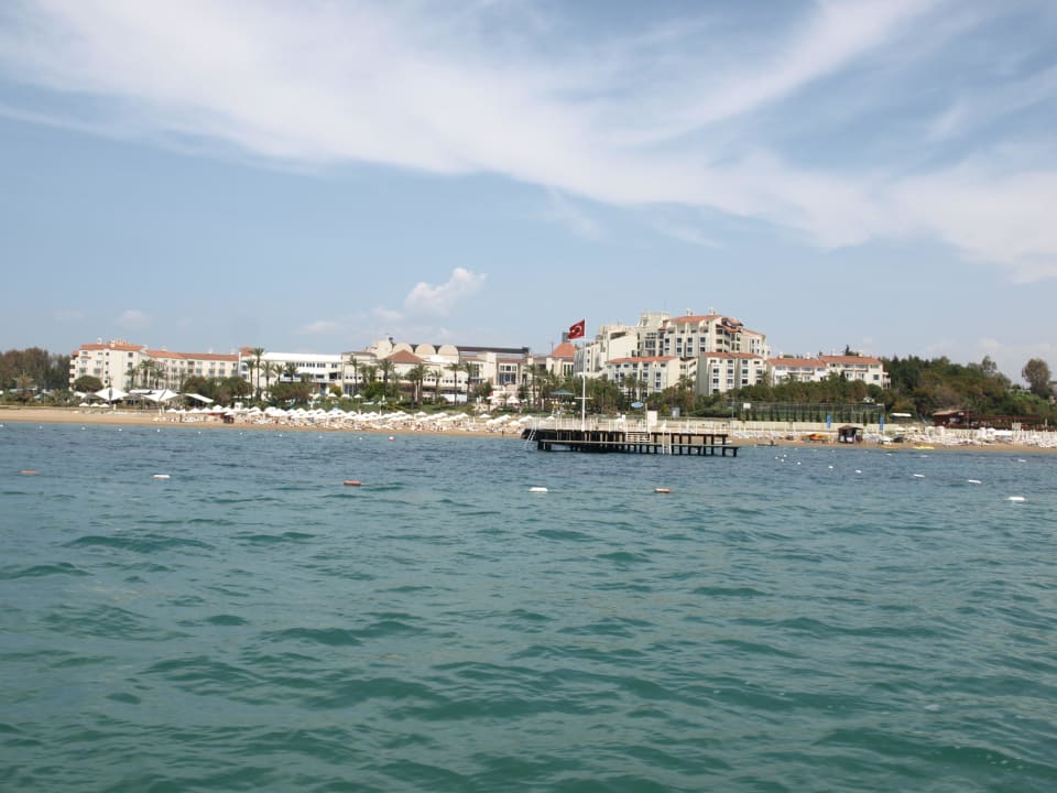 Sentido Perissia PALOMA Perissia