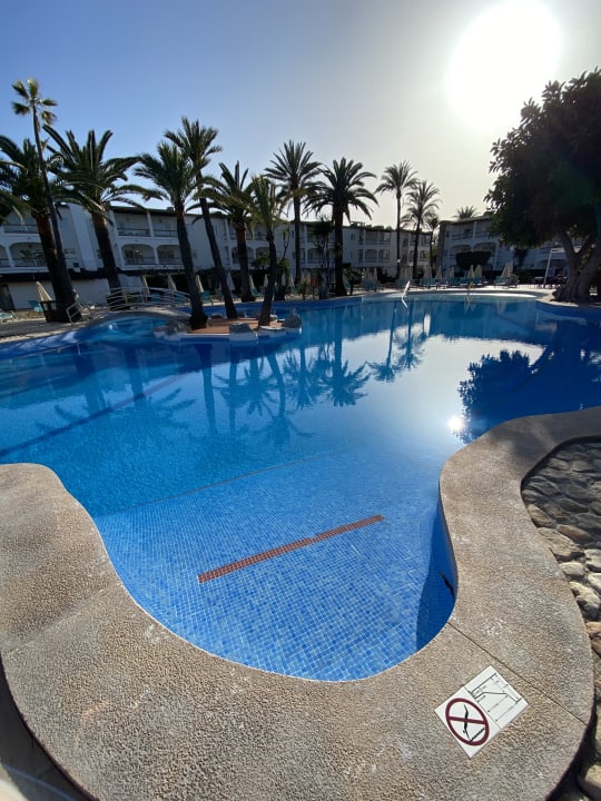 Pool Alcudia Garden Aparthotel