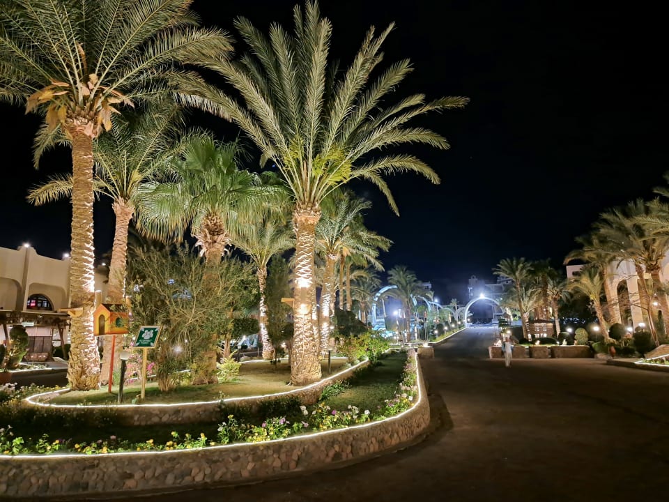 Außenansicht Arabia Azur Resort