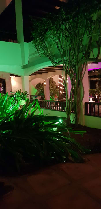 Gartenanlage Hotel Parque Tropical