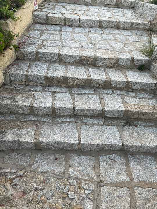 Sonstiges Club Esse Shardana