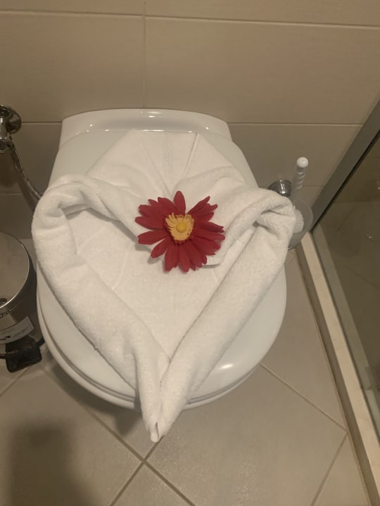 Zimmer Side Star Beach