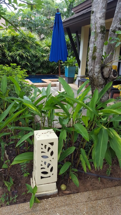 Gartenanlage Seaview Khao Lak Resort