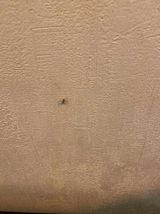 Zimmer Terrass Hôtel