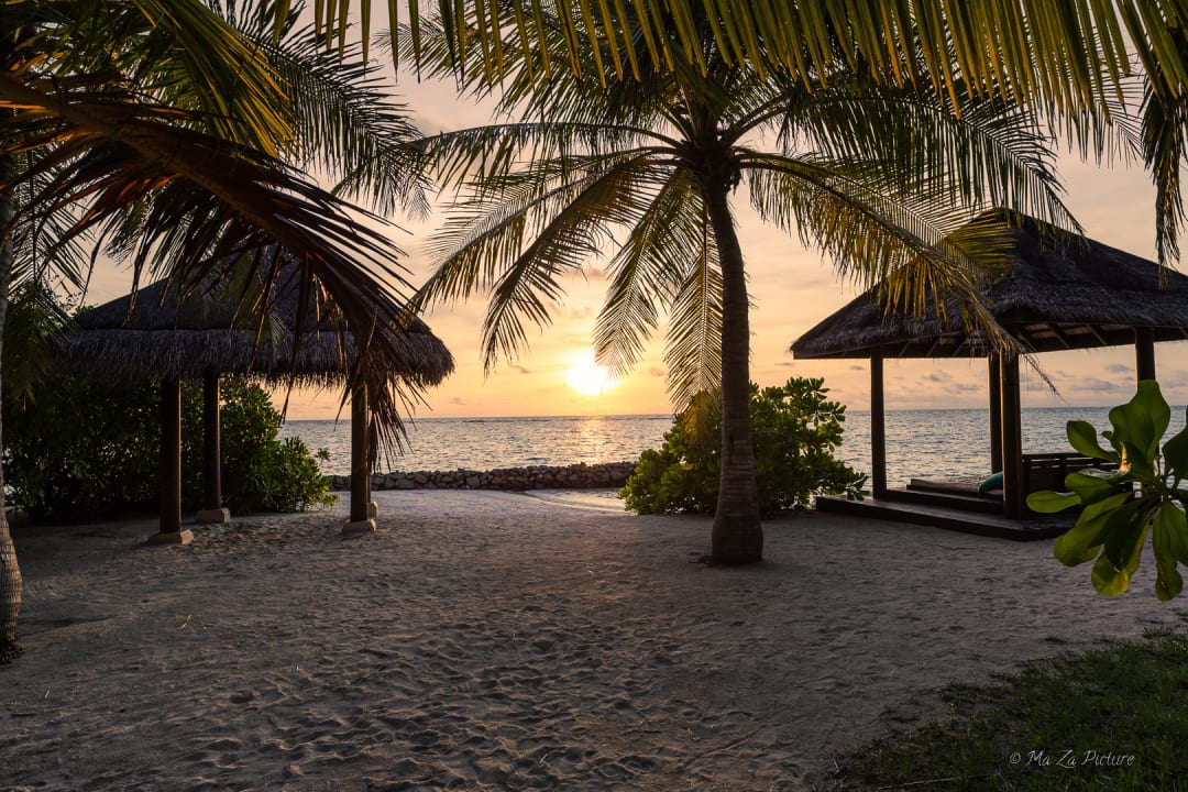 Gartenanlage Summer Island Maldives