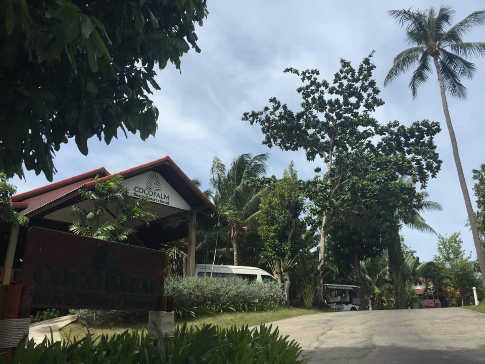 Coco Palm Coco Palm Beach Resort