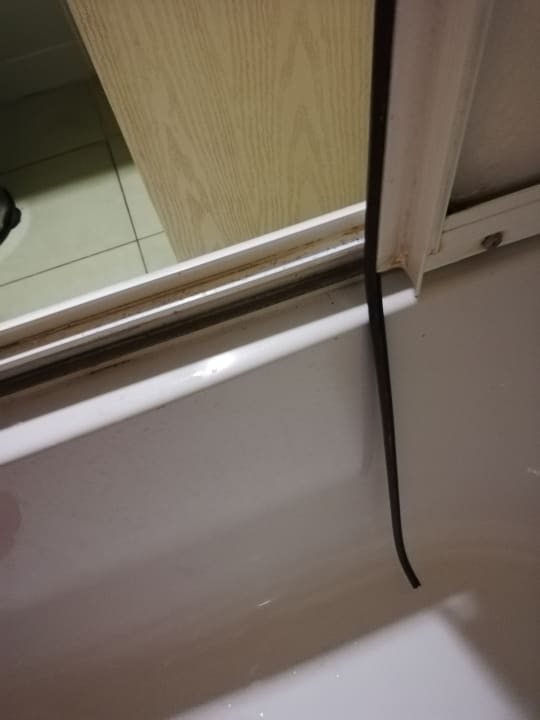 Zimmer Hotel Orfeus Park