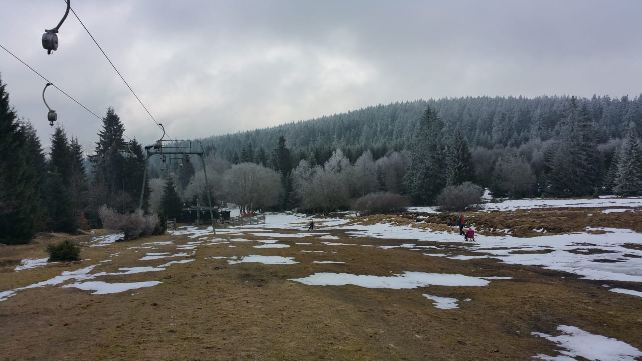 Direkt an dem Hotel Torfhaus Harzresort