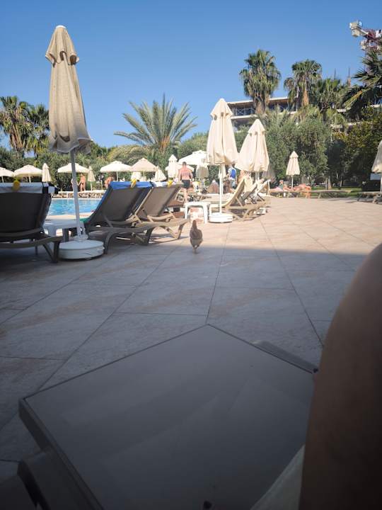 Sonstiges Seaden Sea World Resort & Spa