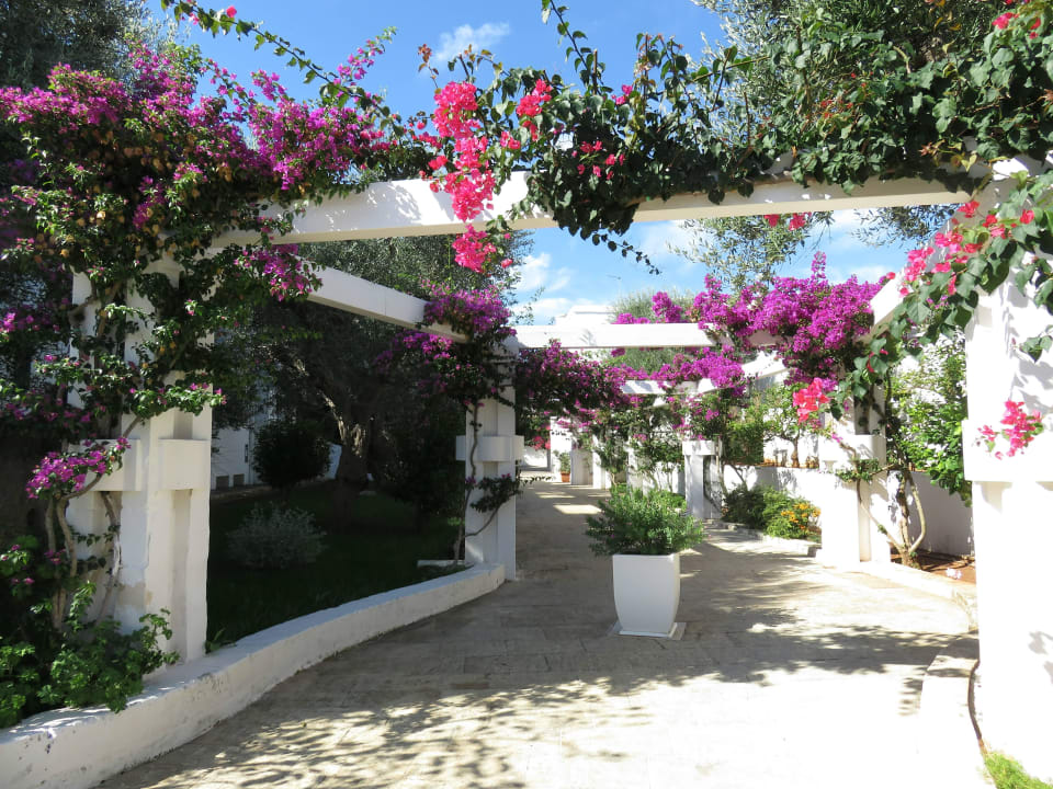Romantische Laubengänge Hotel Il Melograno