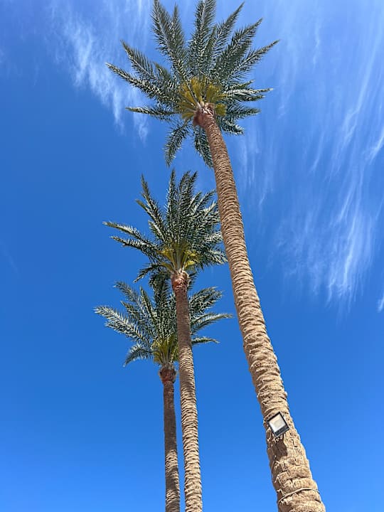 Ausblick Marriott Hurghada Beach Resort