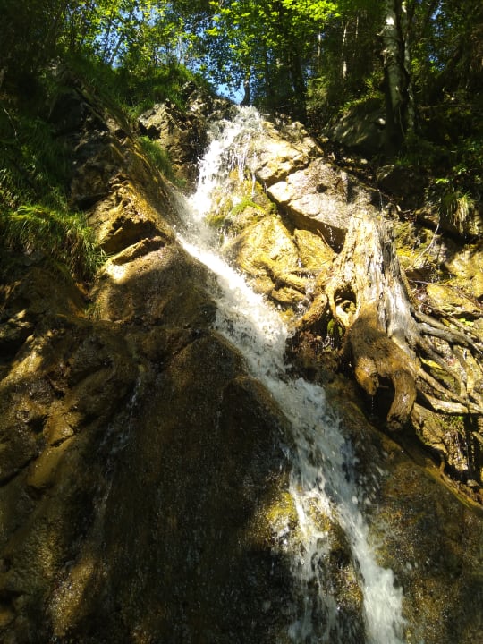 Ausblick Pension & Gästehaus Tannenhof