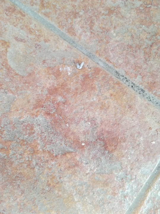 Zimmer Sandy Beach Resort