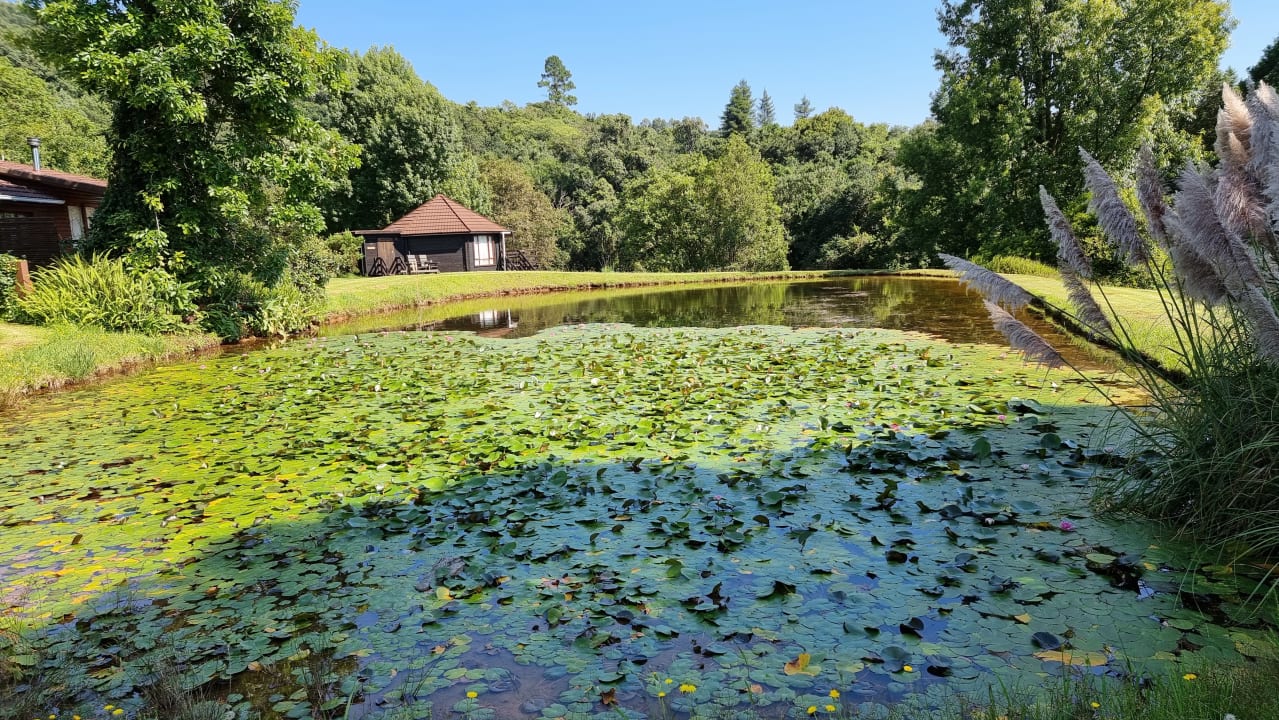 Gartenanlage Zur Alten Mine Guest Farm B&B