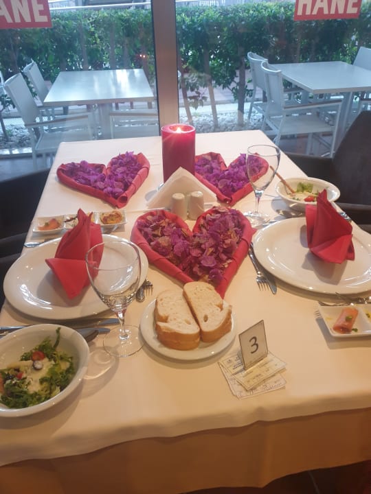 Gastro Calimera Hane Garden