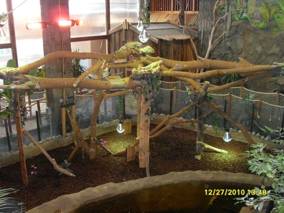 Dschungelland - Tropical Oase Ferienwohnungen Ferienpark Weissenhäuser Strand