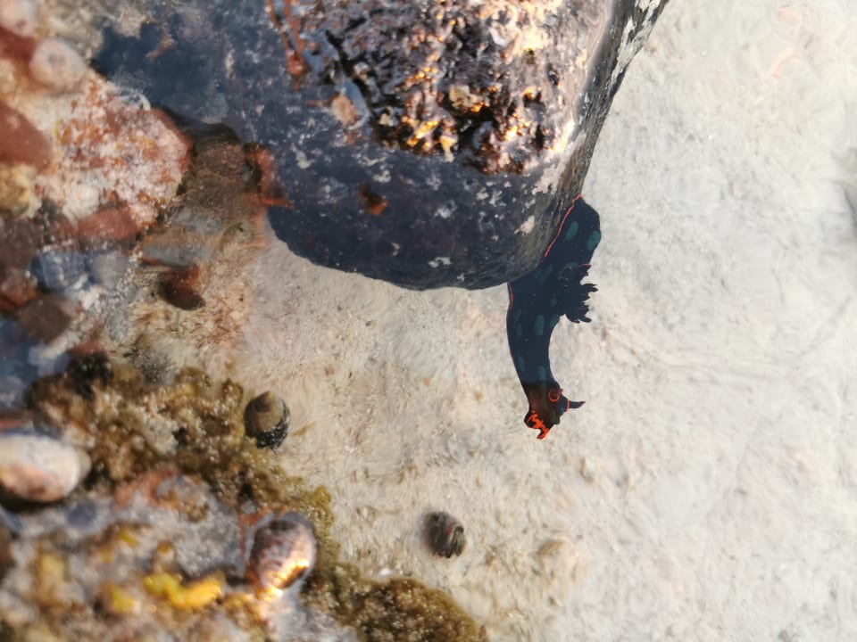 Strand Le Peninsula Bay Beach Resort & Spa